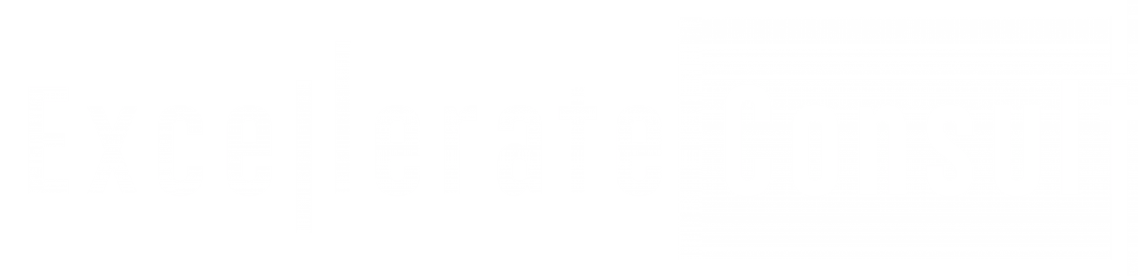 EXCELLERATE CONSULT